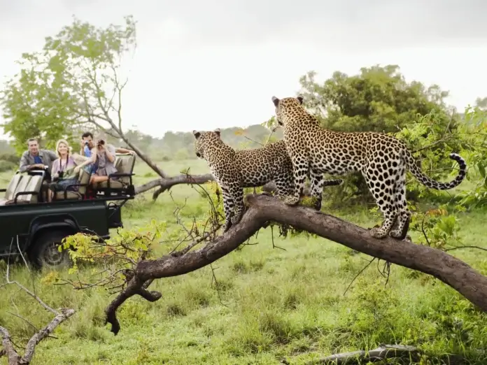 International tourists exploring South Africa as the country's tourism industry records strong growth with more than 823,000 visitors in June 2026.