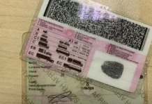 How to Check if Your Driver’s Licence is Ready for Collection in South Africa South African motorist checking their driver's licence status online before collecting their renewed licence card at a Driving Licence Testing Centre.
